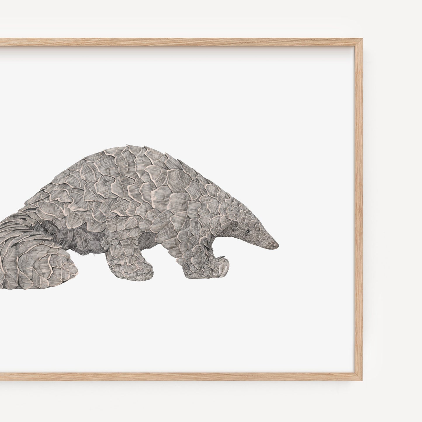 Pangolin Print