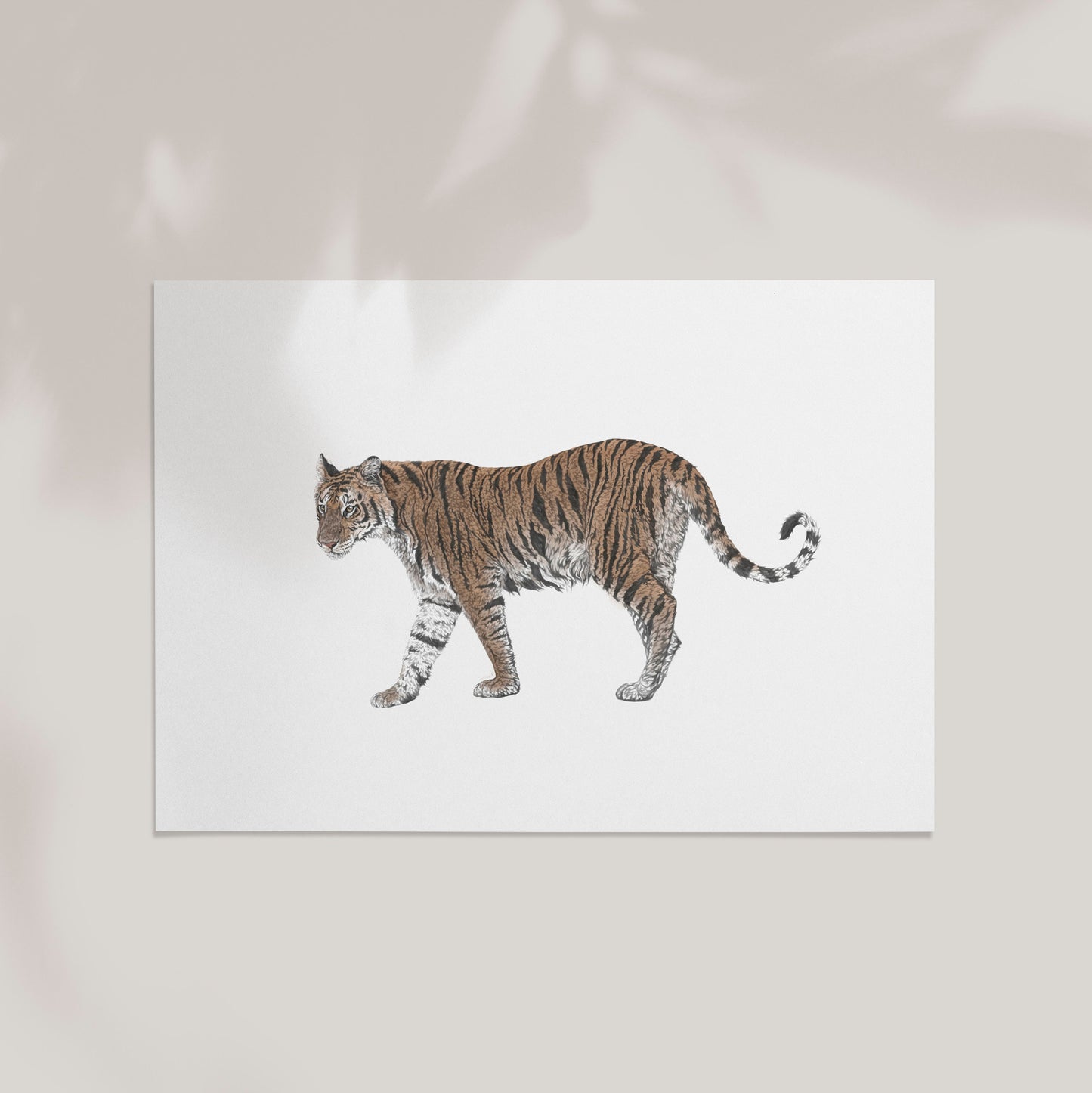 Tiger Print