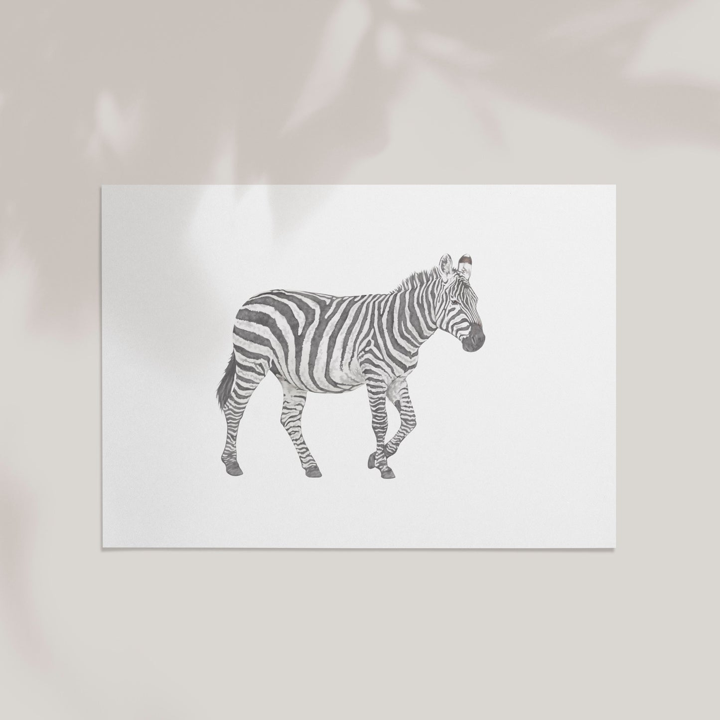 Zebra Print