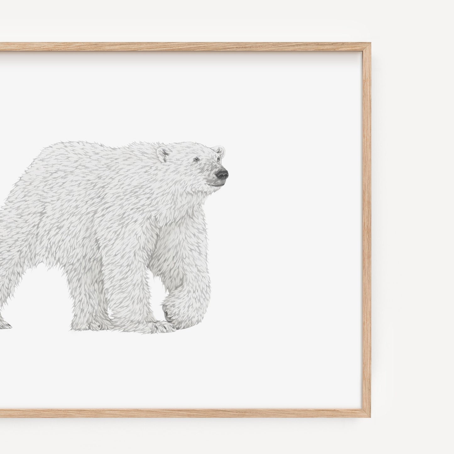 Polar Bear Print