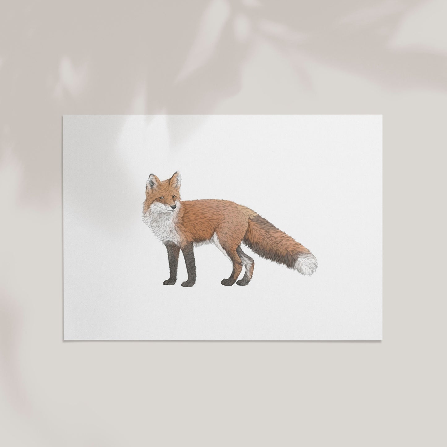 Fox Print