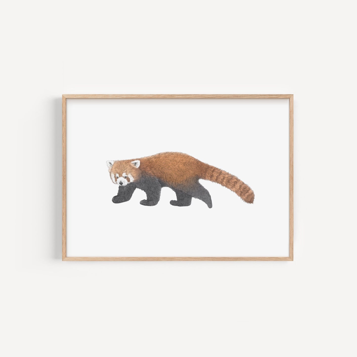 Red Panda Print