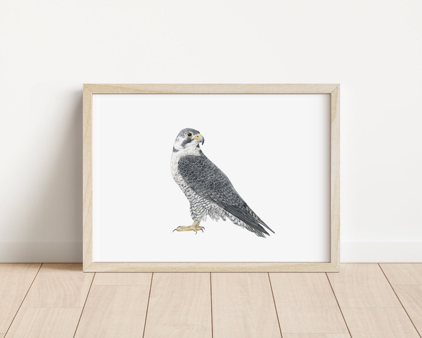 Falcon Print