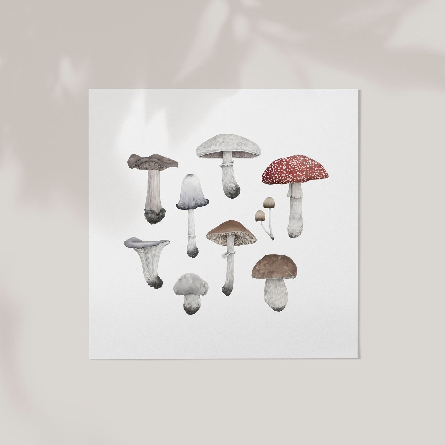 Mushroom Species Square Print