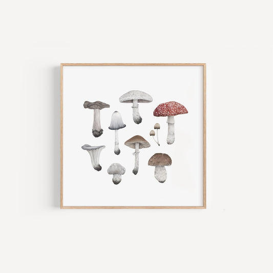 Mushroom Species Square Print