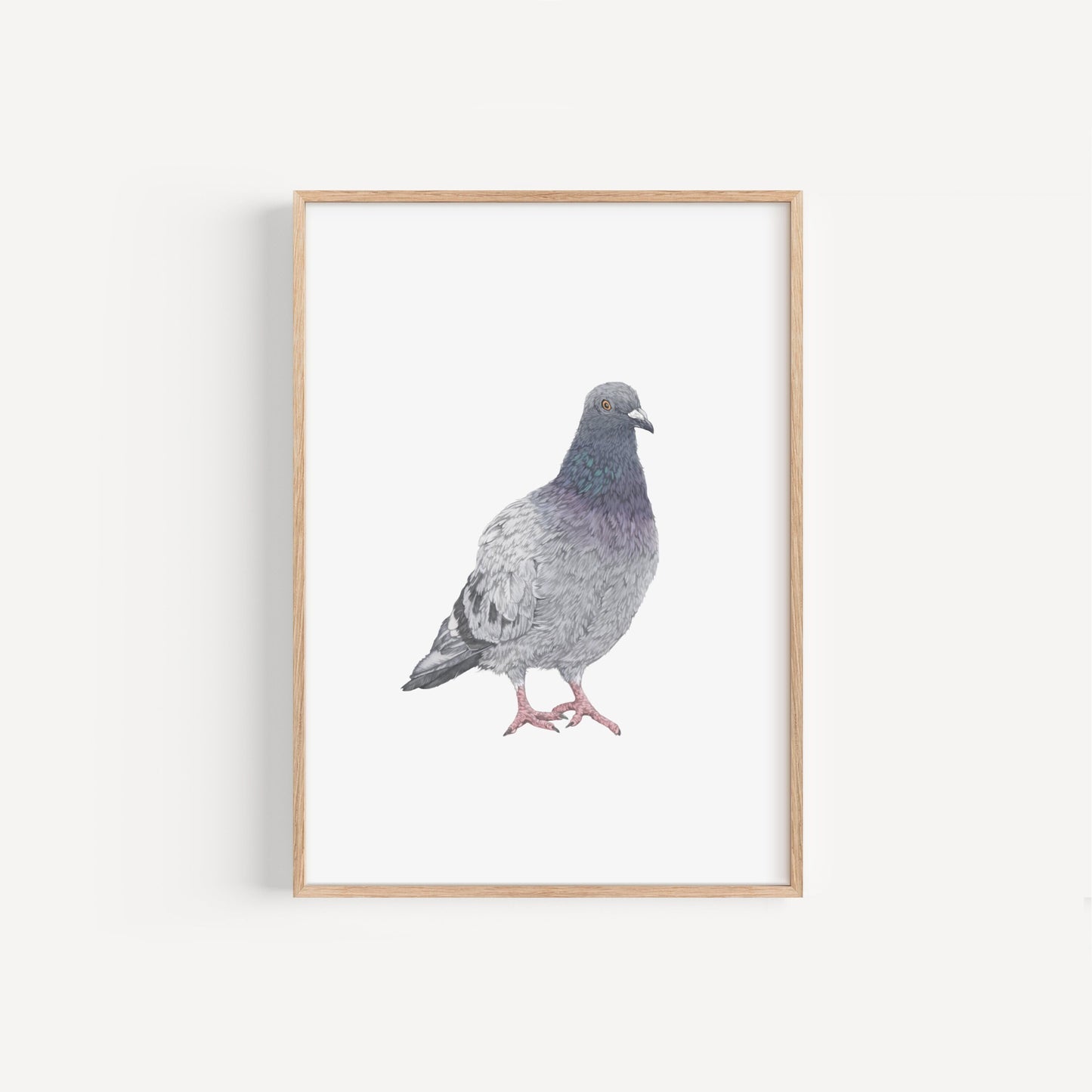 Pigeon Print