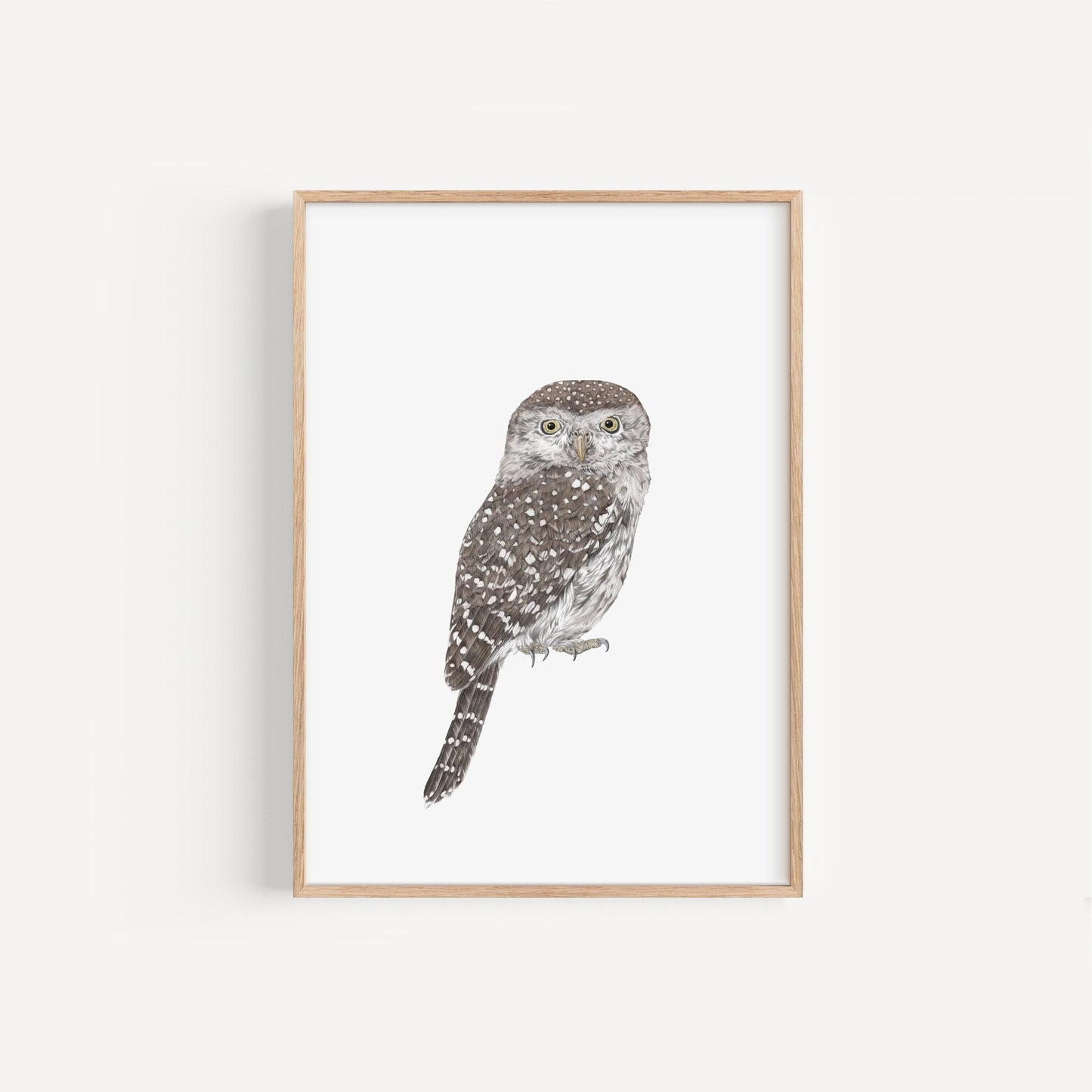 Owl Print