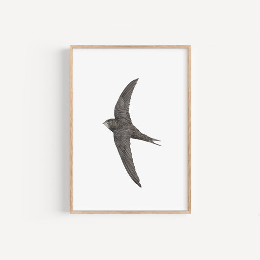 Swift Print