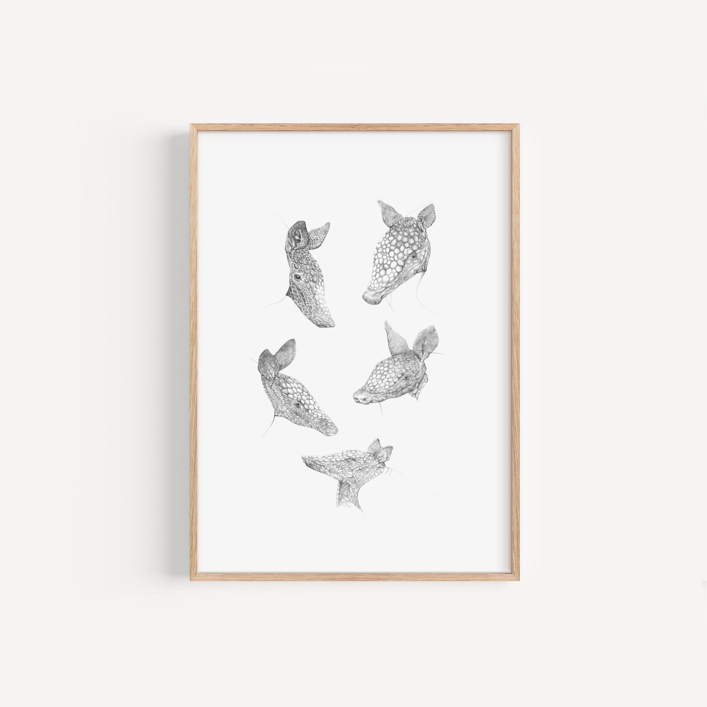 Armadillo Sketches Print