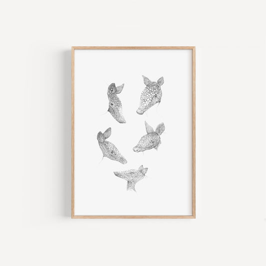 Armadillo Sketches Print