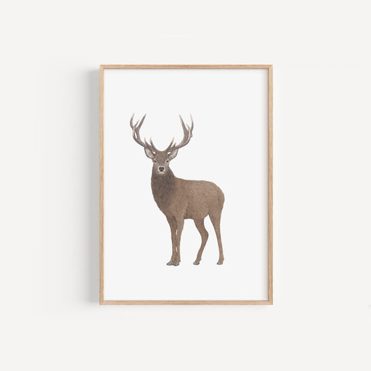 Stag Print