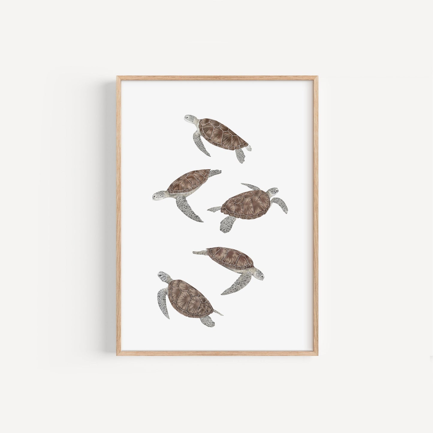Sea Turtle Print