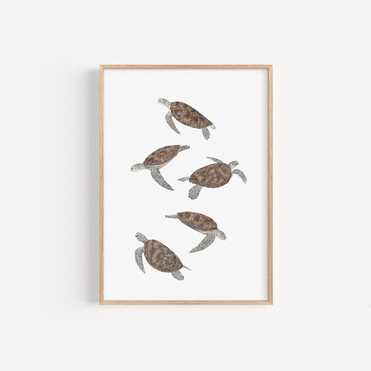 Sea Turtle Print