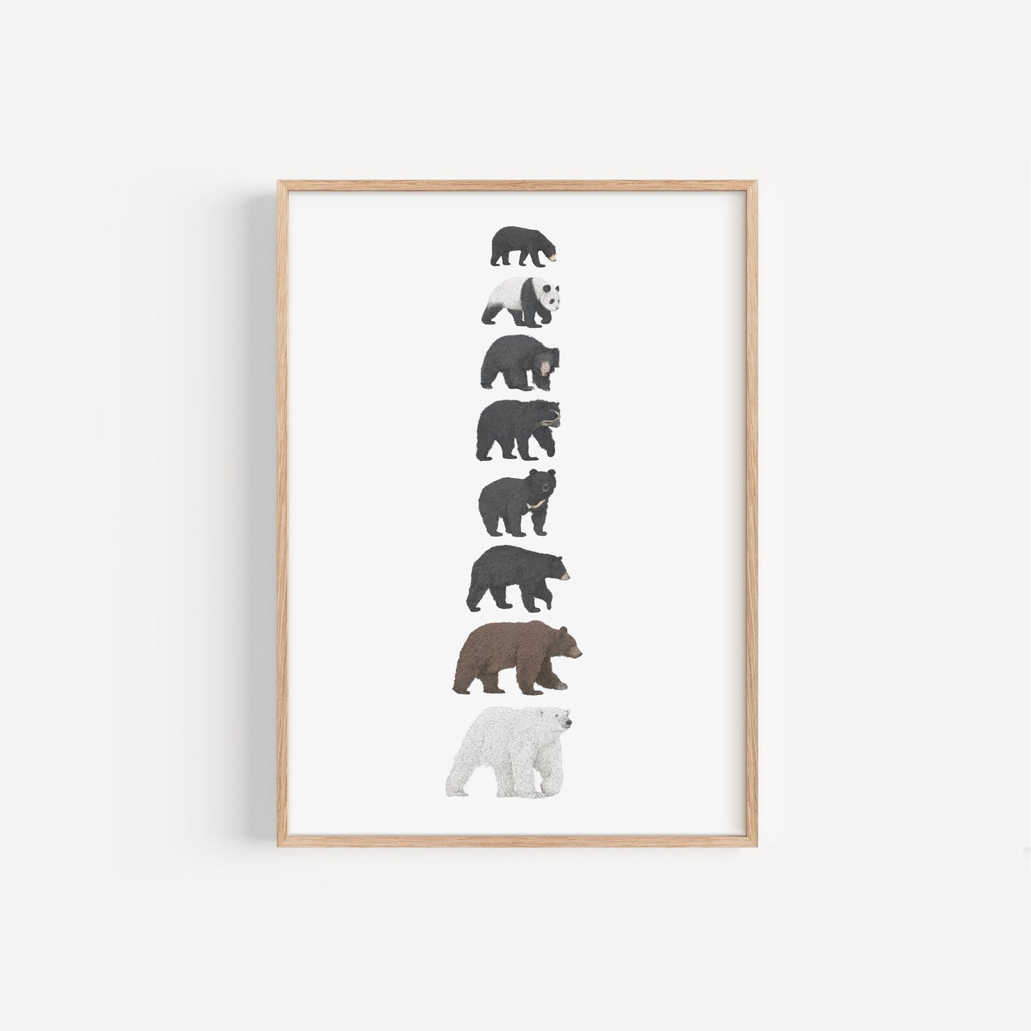 8 Bear Species Print