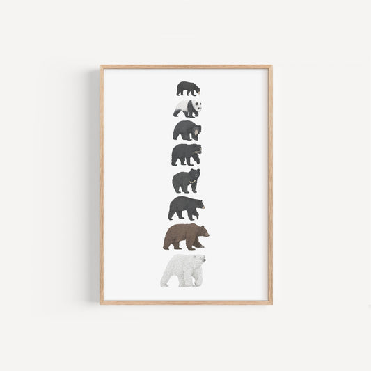8 Bear Species Print