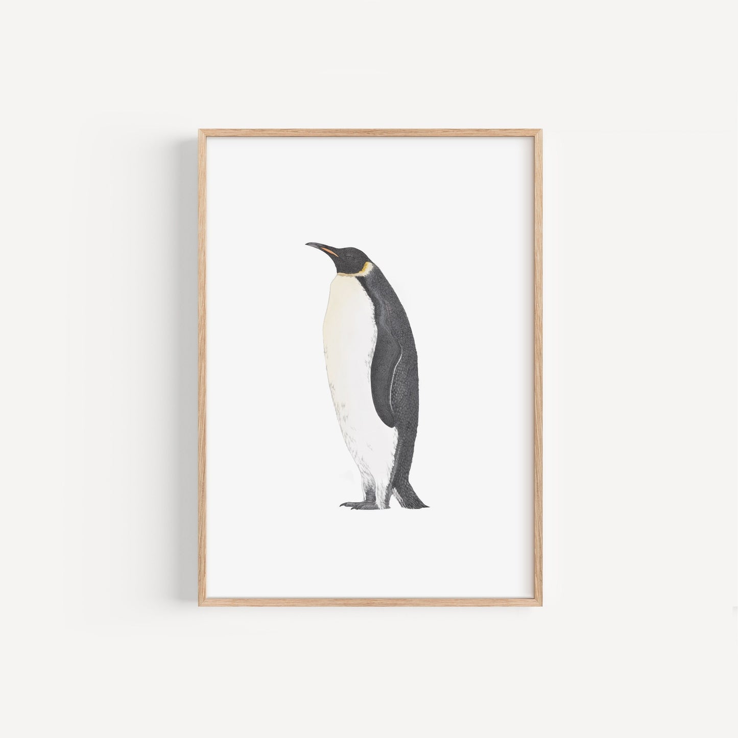 Emperor Penguin Print