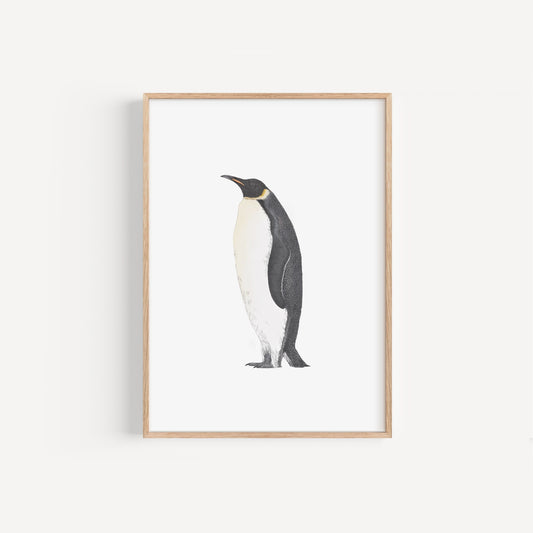 Emperor Penguin Print