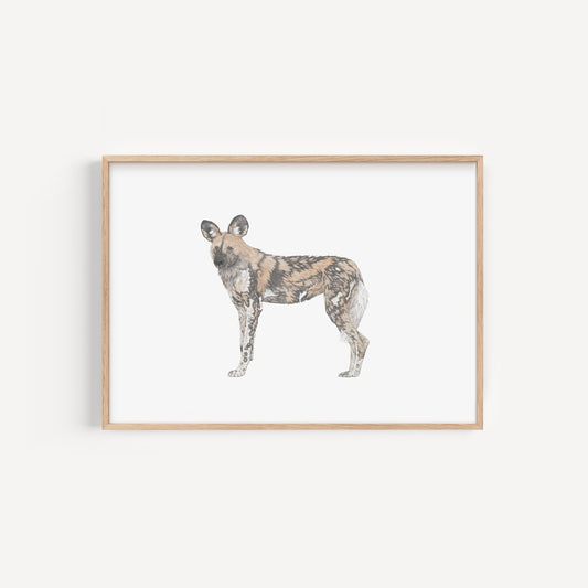 African Painted Dog Print