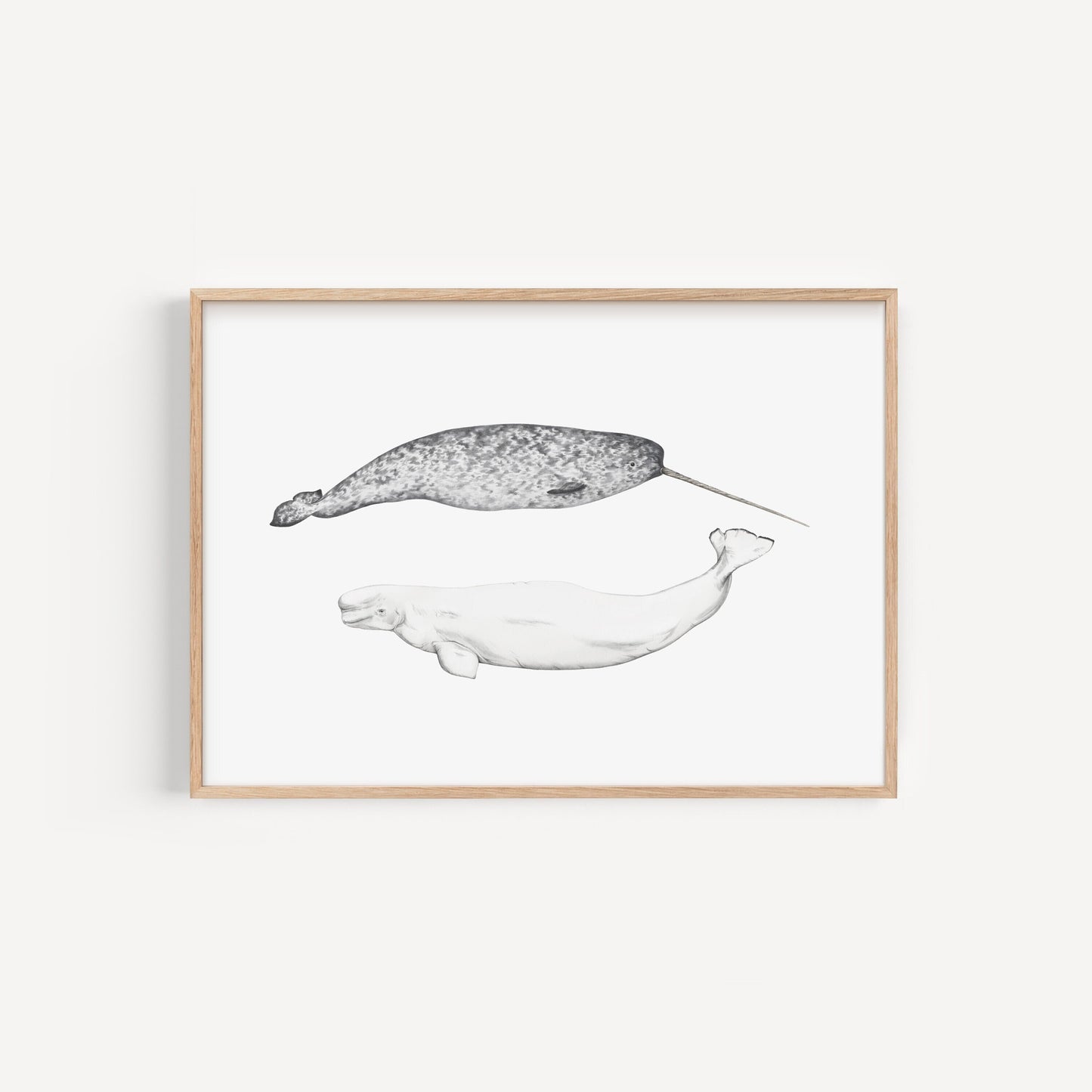 Narwhal and Beluga Whale Print
