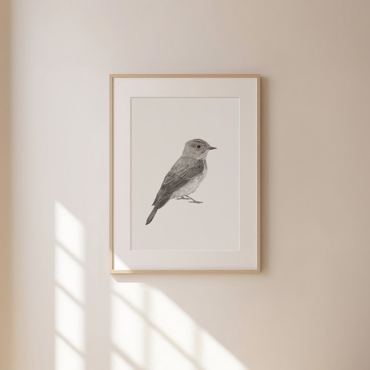 Spotted Flycatcher Print