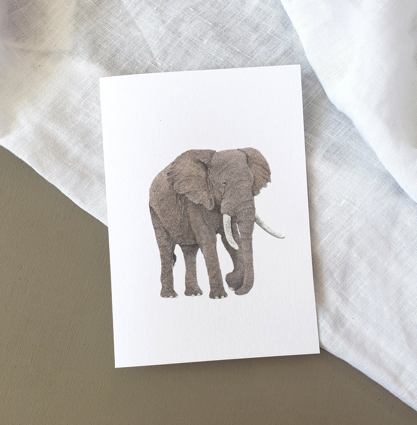 Elephant Card