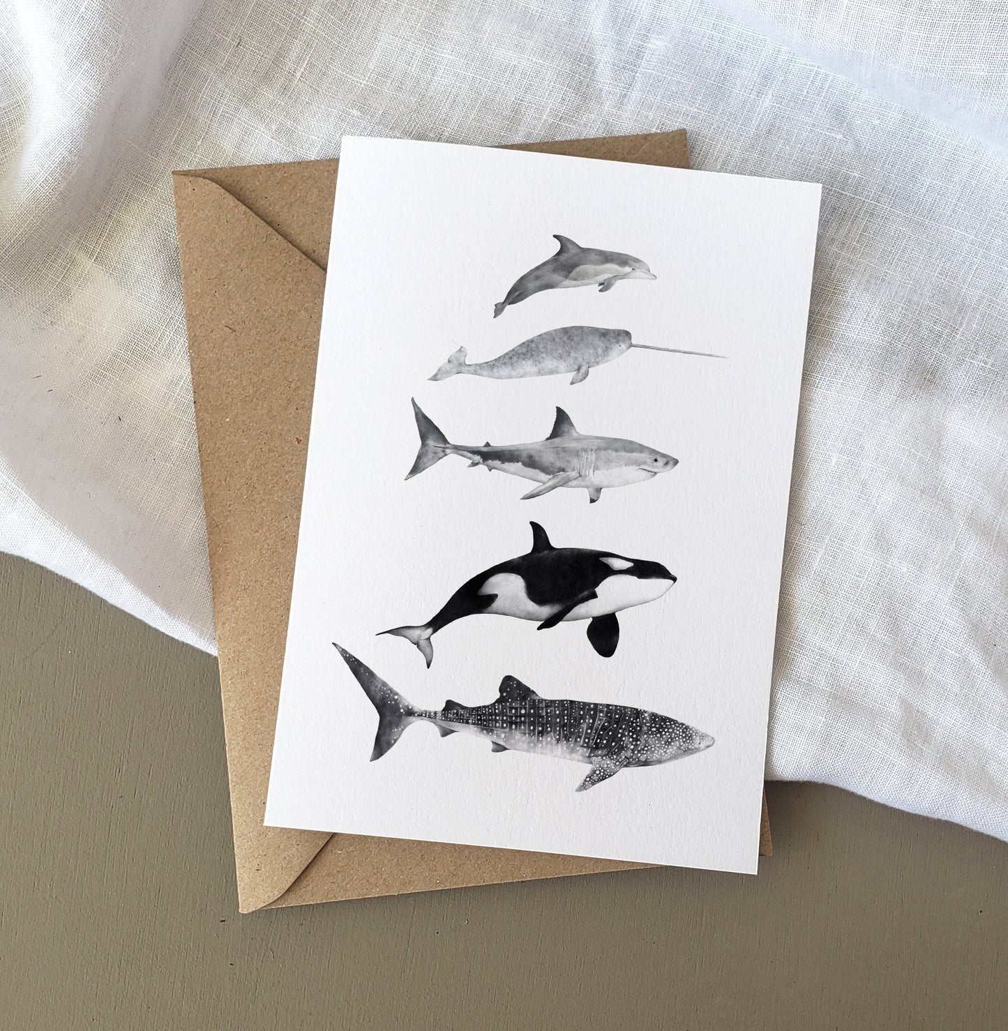 Sea Life Card
