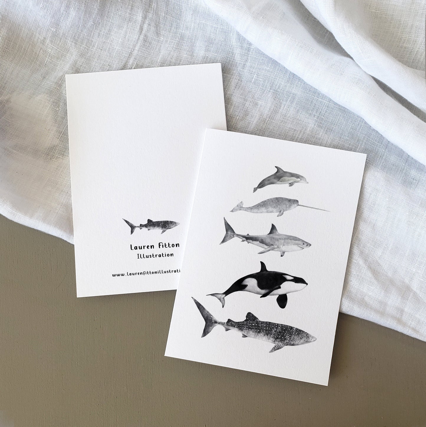 Sea Life Card
