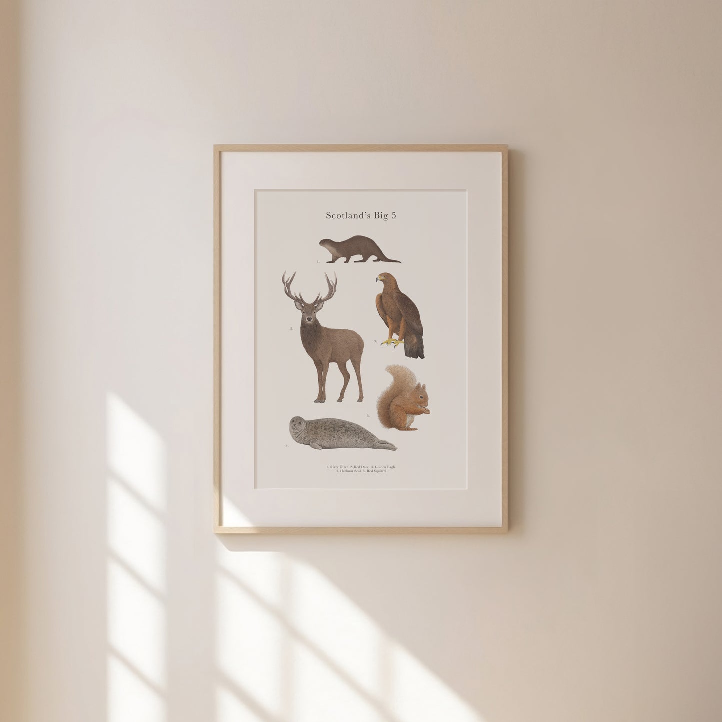Scotland's Big 5 Educational Print