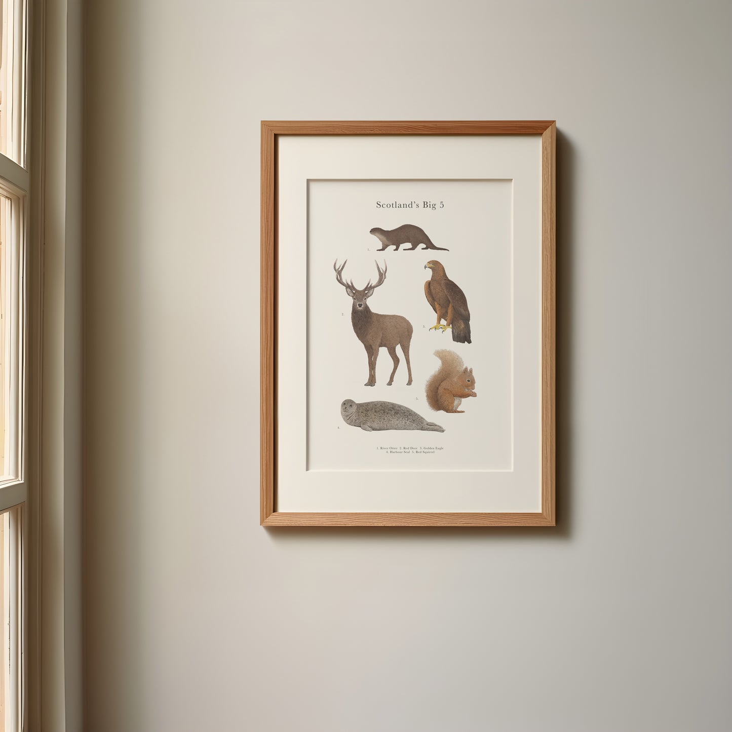 Scotland's Big 5 Educational Print
