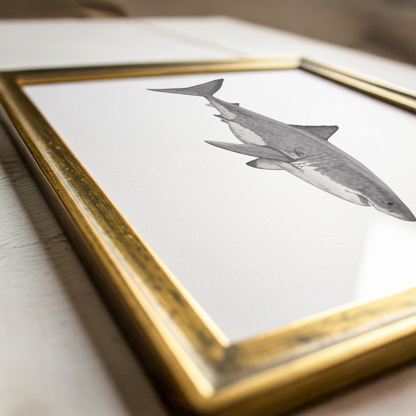 Great White Shark Print