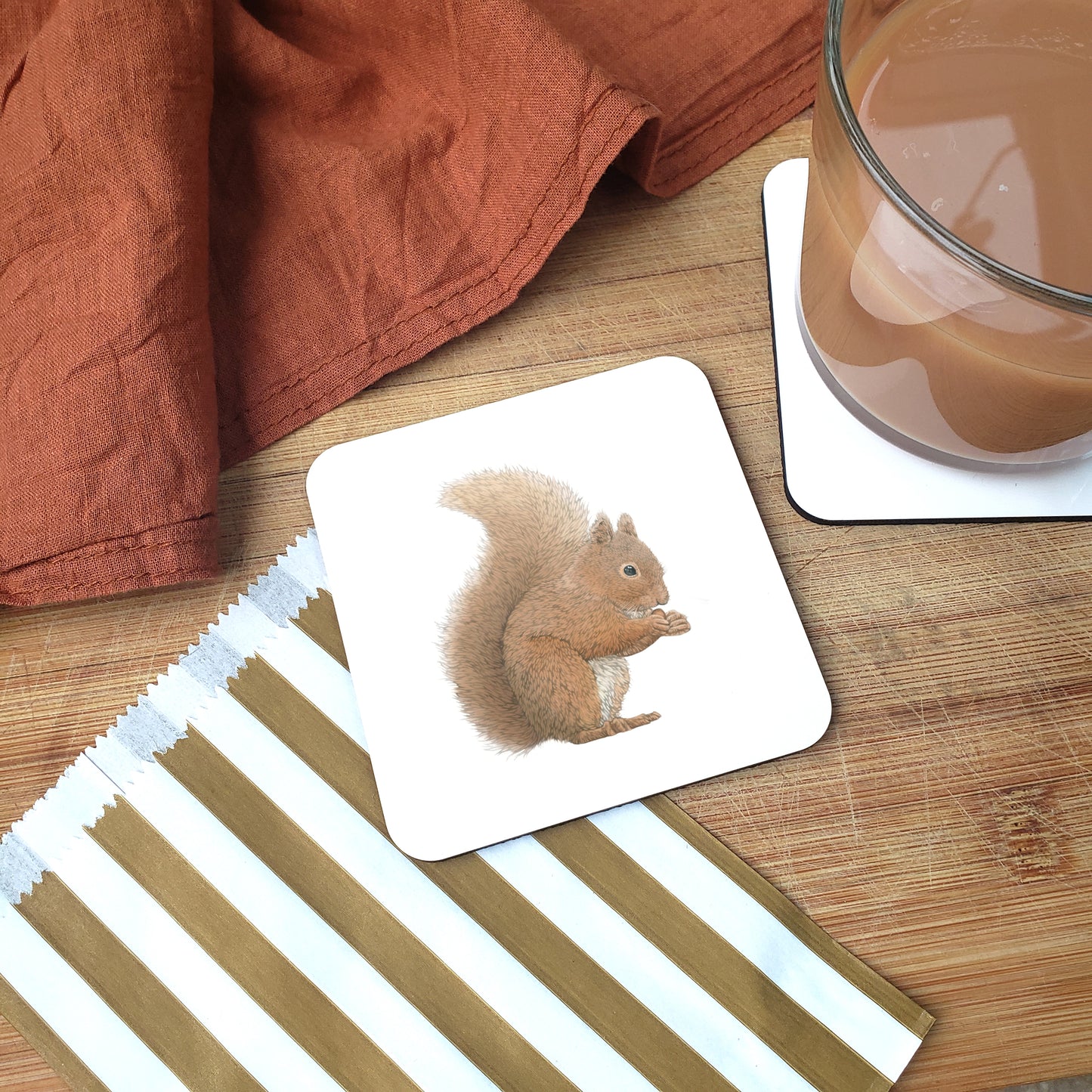 Squirrel Coaster