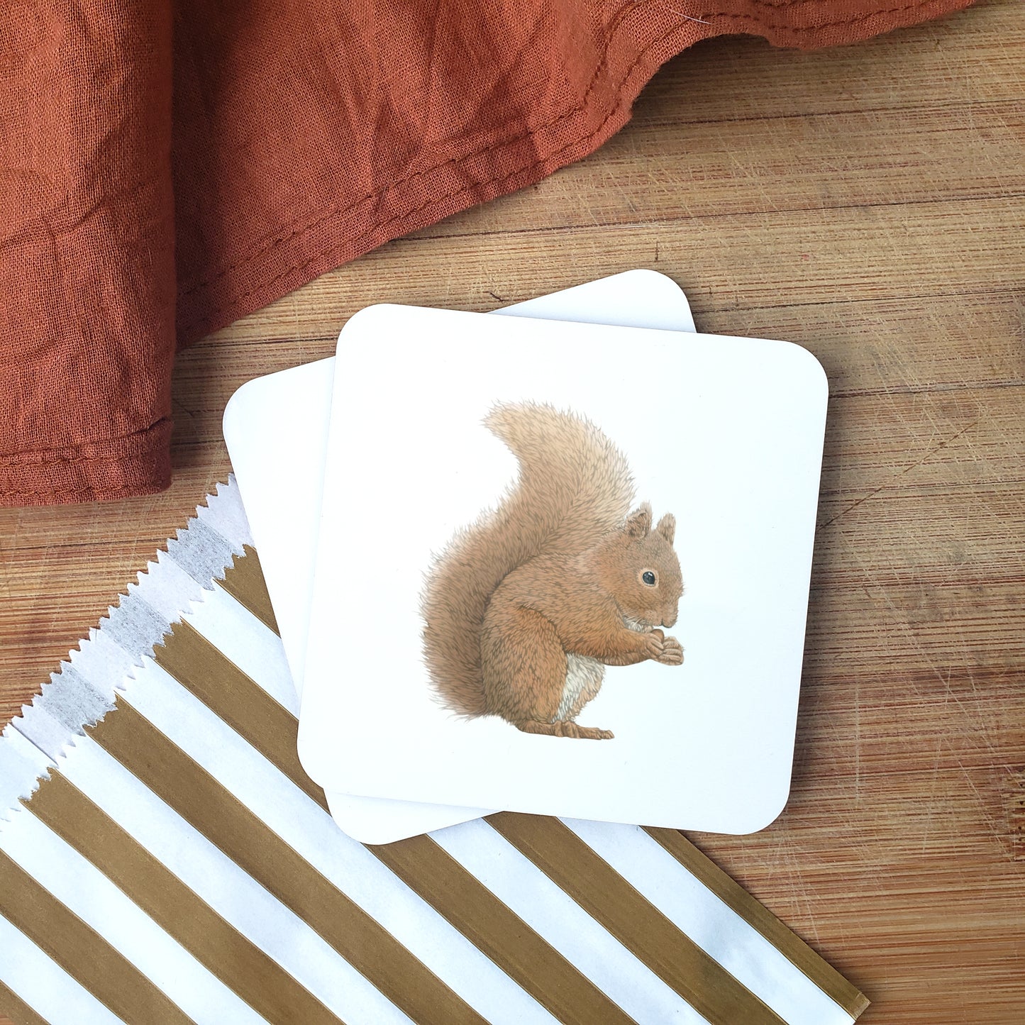 Squirrel Coaster