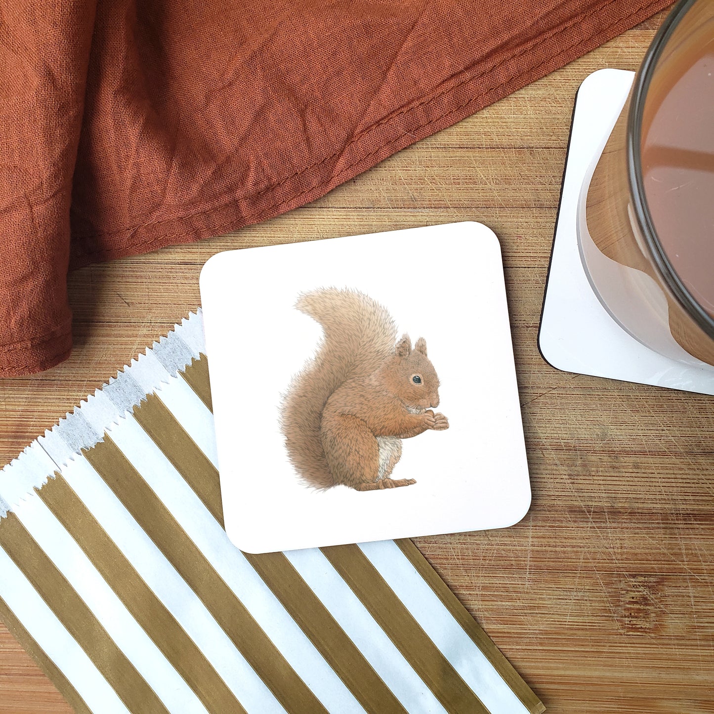 Squirrel Coaster