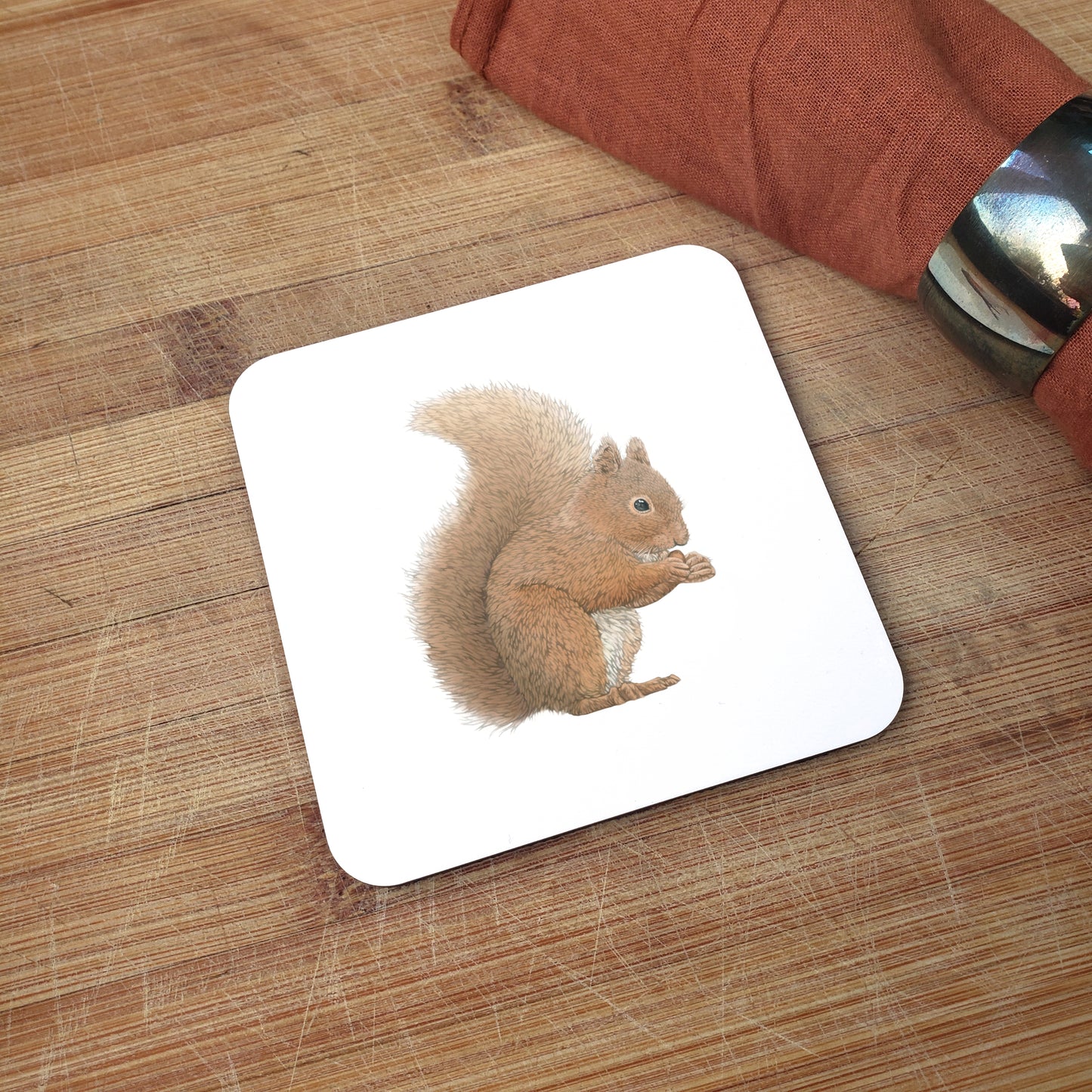 Squirrel Coaster