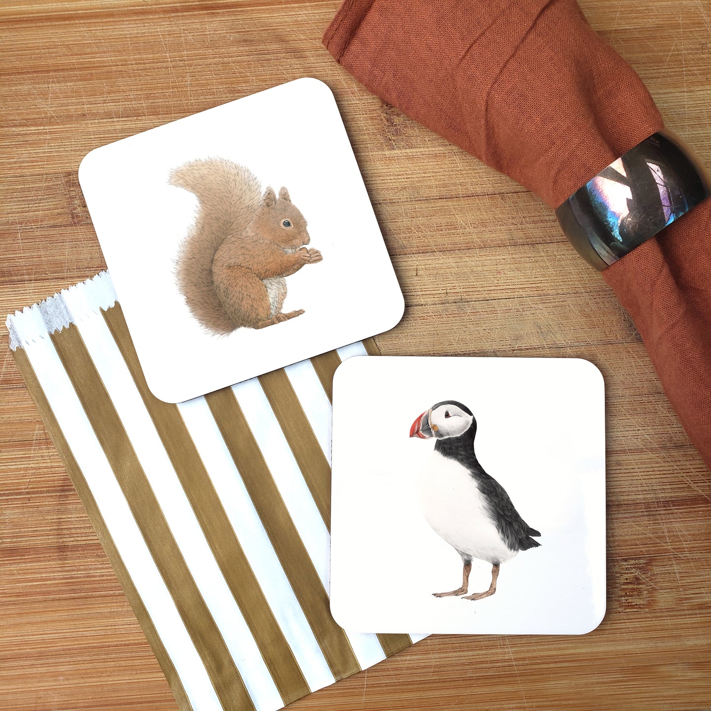 Squirrel Coaster