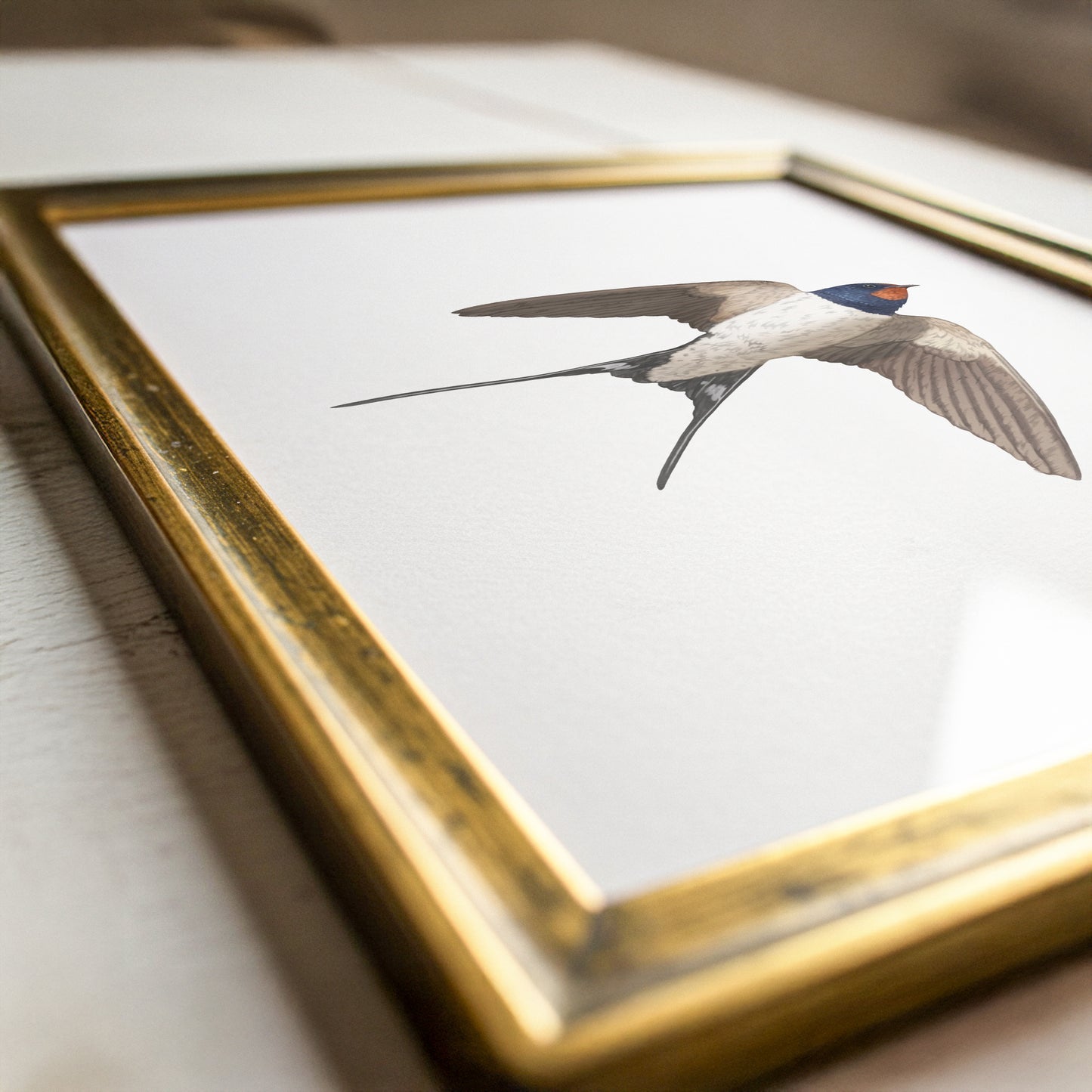 Swallow Print