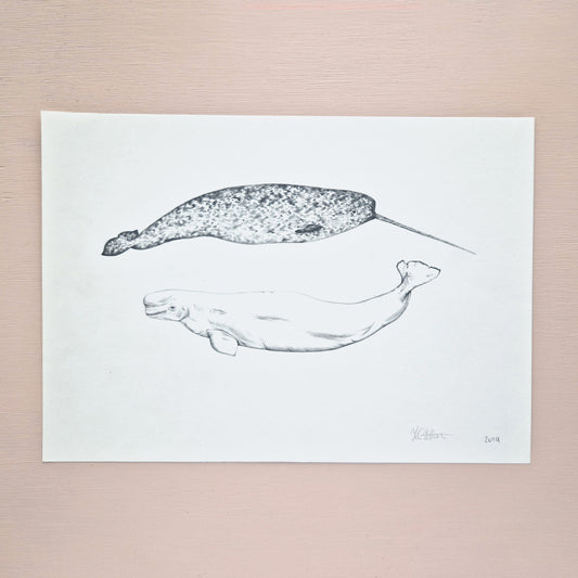 Narwhal and Beluga Whale Original Drawing