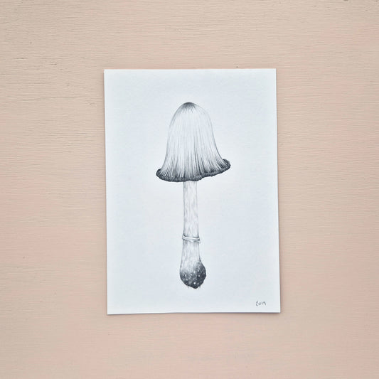 Mushroom Original Drawing 6/6