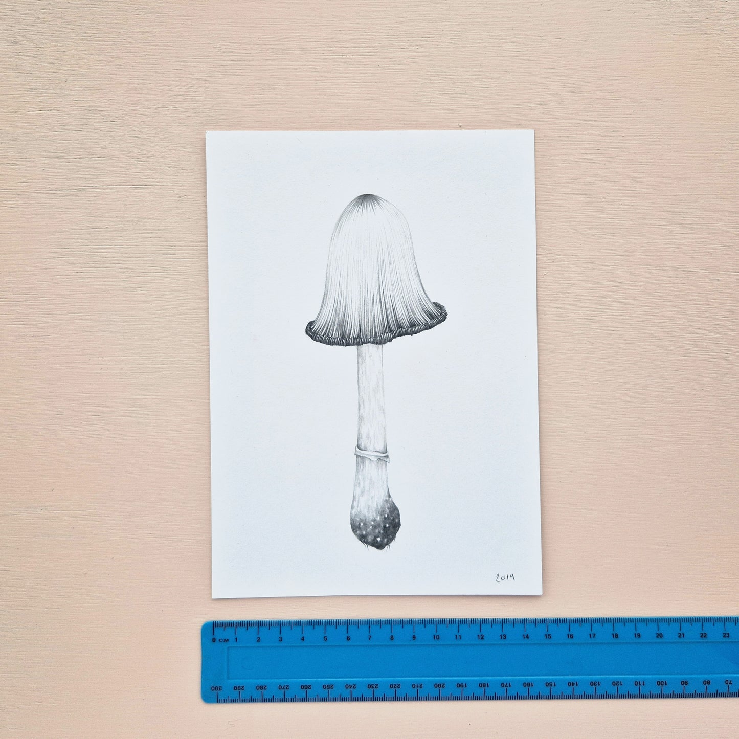 Mushroom Original Drawing 6/6