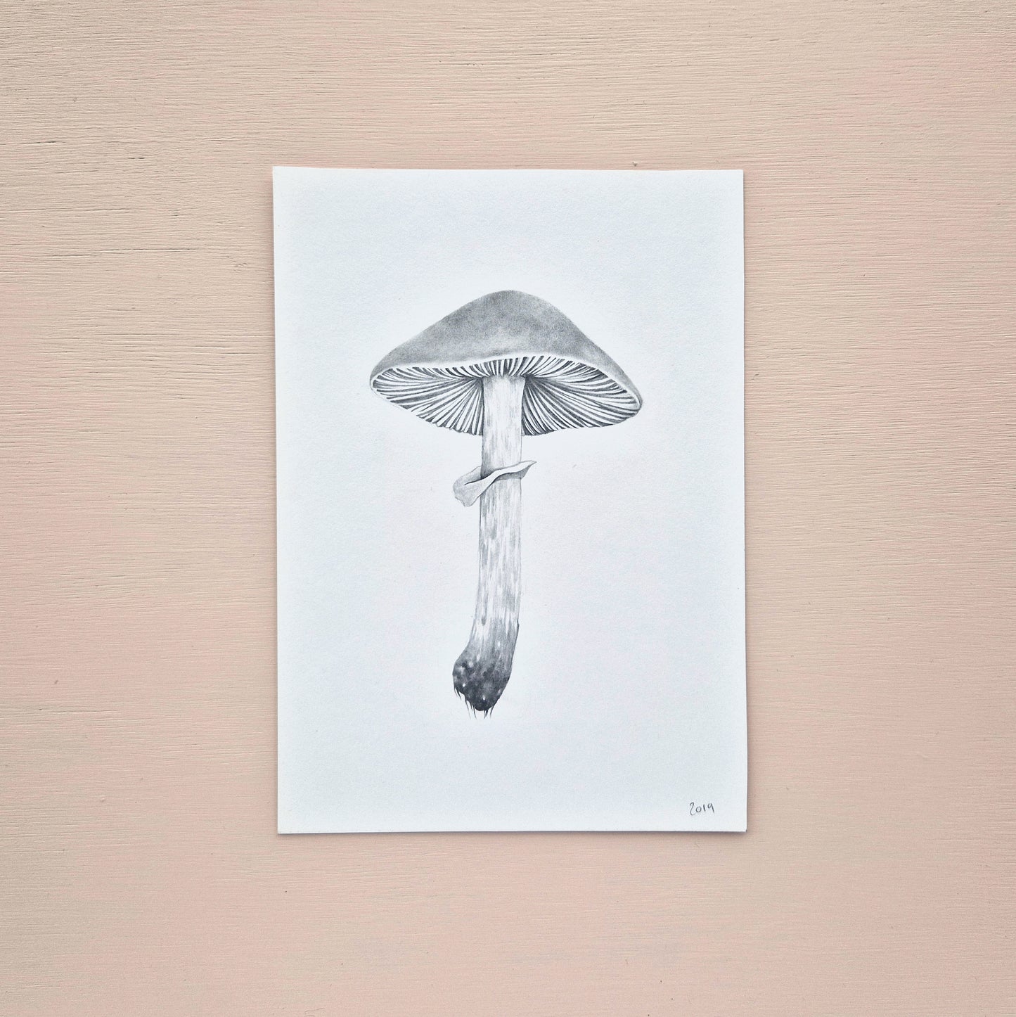 Mushroom Original Drawing 5/6