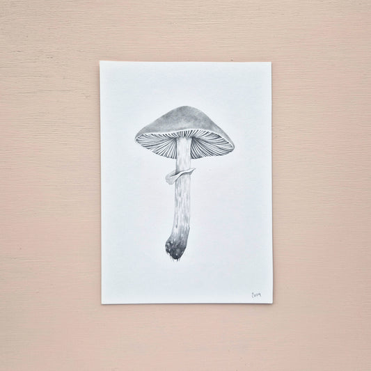 Mushroom Original Drawing 5/6