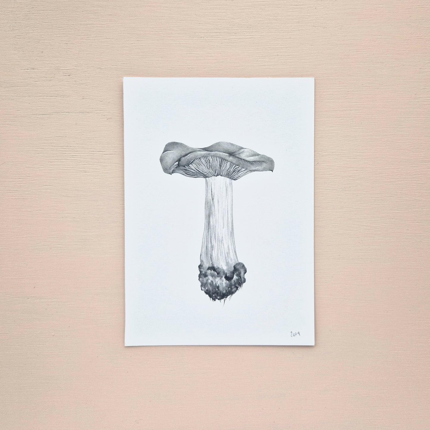 Mushroom Original Drawing 4/6