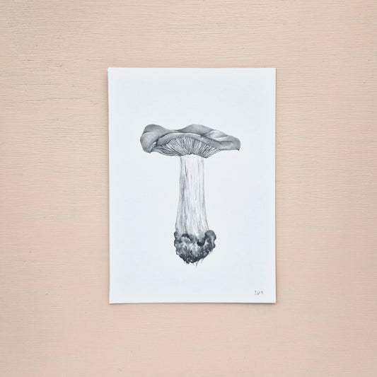 Mushroom Original Drawing 4/6