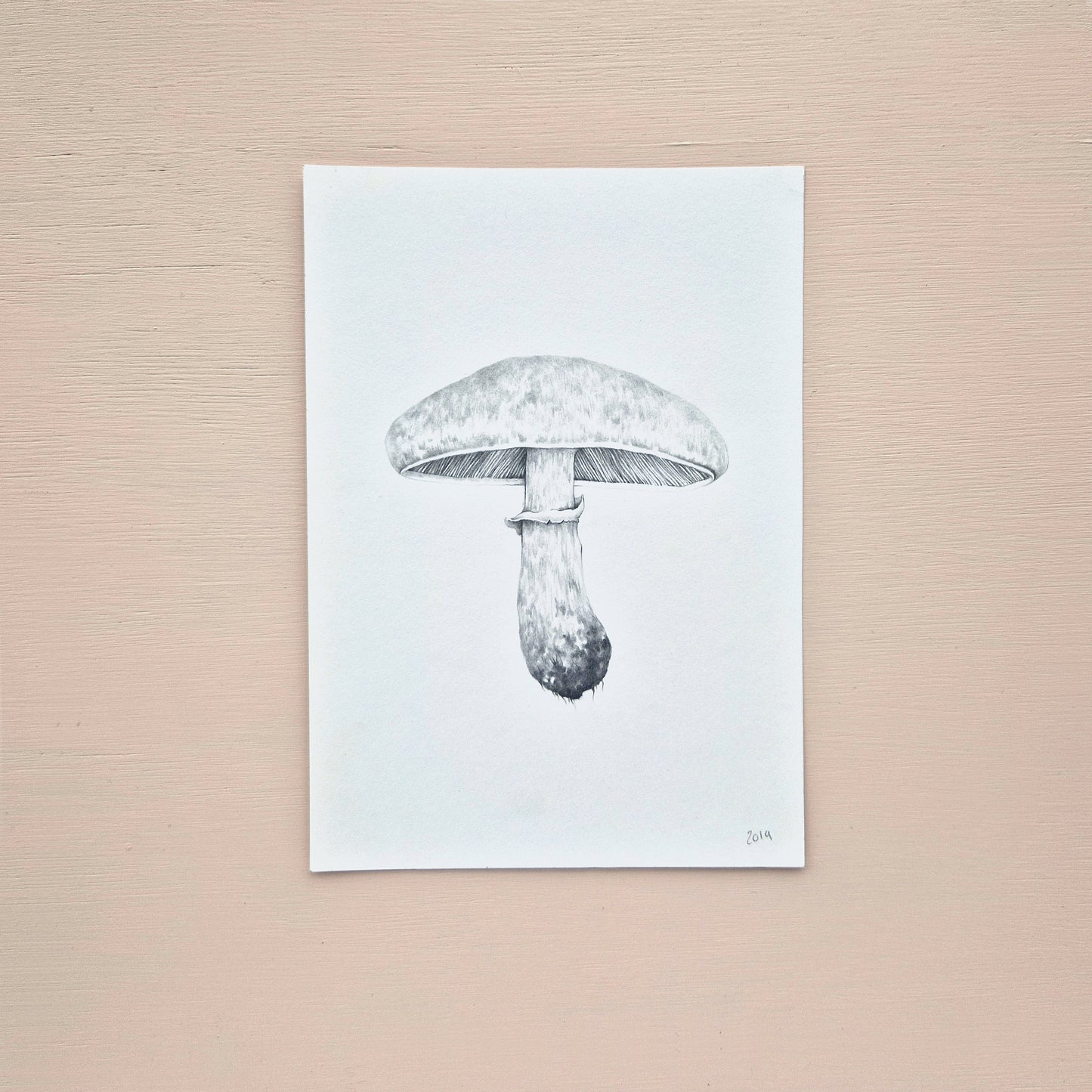 Mushroom Original Drawing 3/6