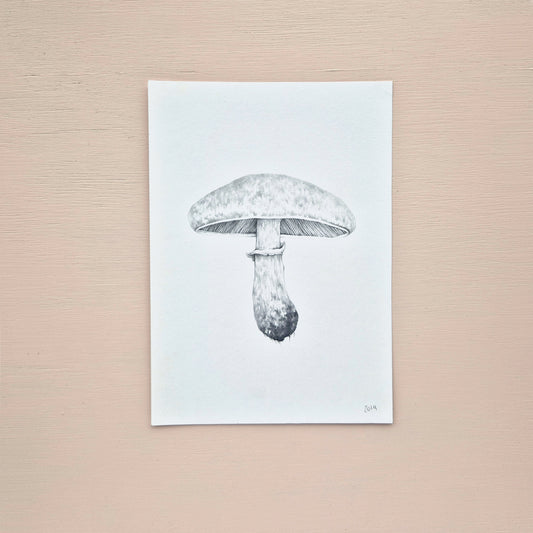 Mushroom Original Drawing 3/6