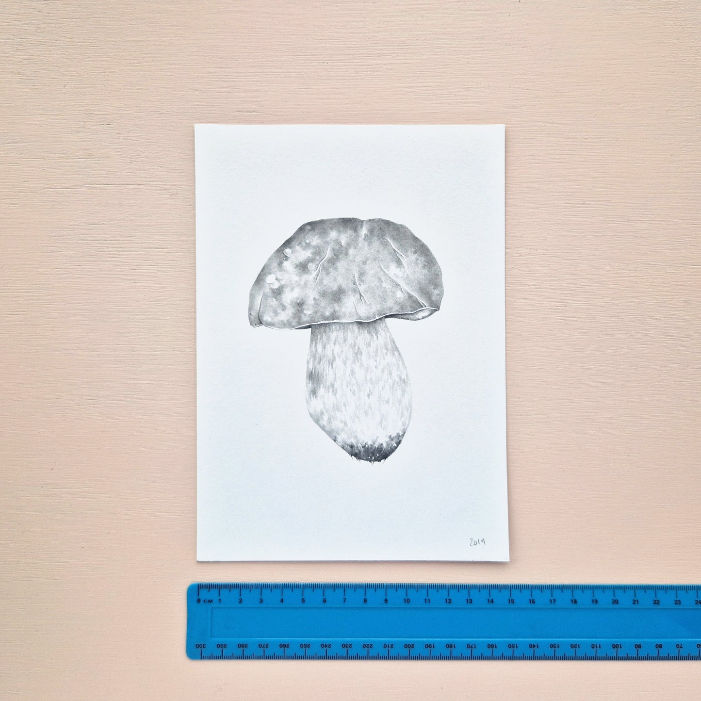 Mushroom Original Drawing 2/6