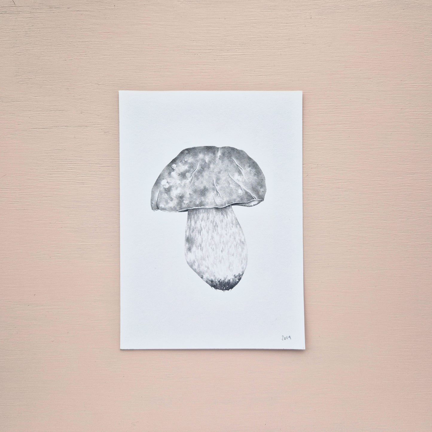 Mushroom Original Drawing 2/6