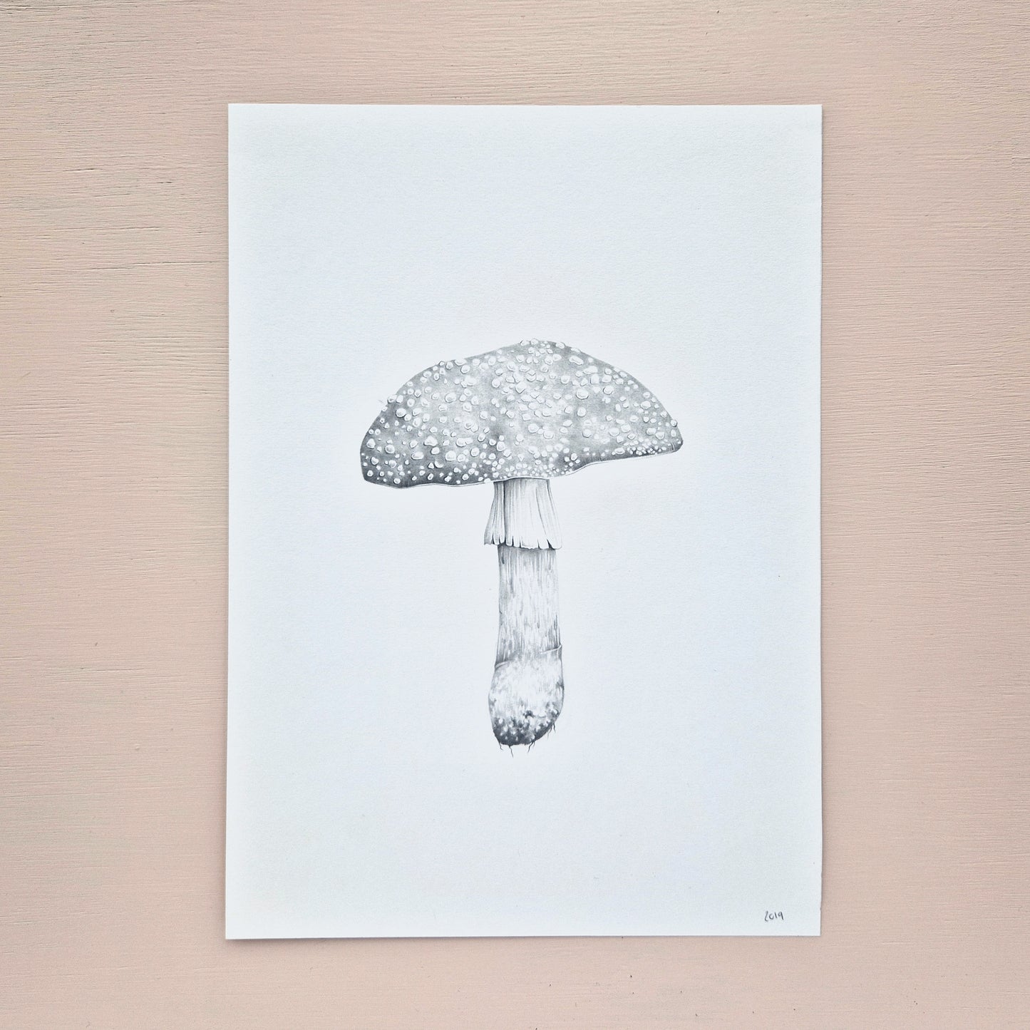 Mushroom Original Drawing 1/6