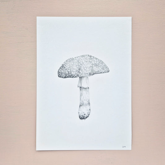 Mushroom Original Drawing 1/6
