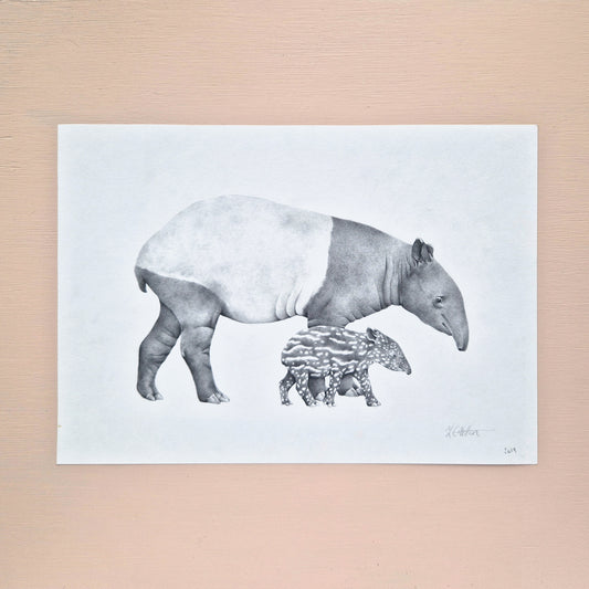 Tapir Mother & Baby Original Drawing